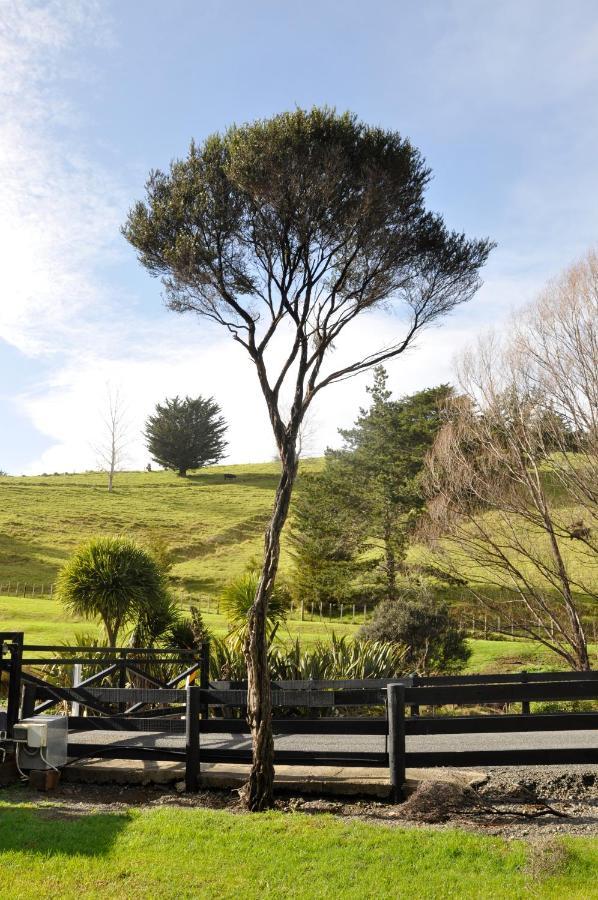 Matapouri & Tutukaka Spectacular Coastal Views- Aroha Luxury Guest Suite Buitenkant foto