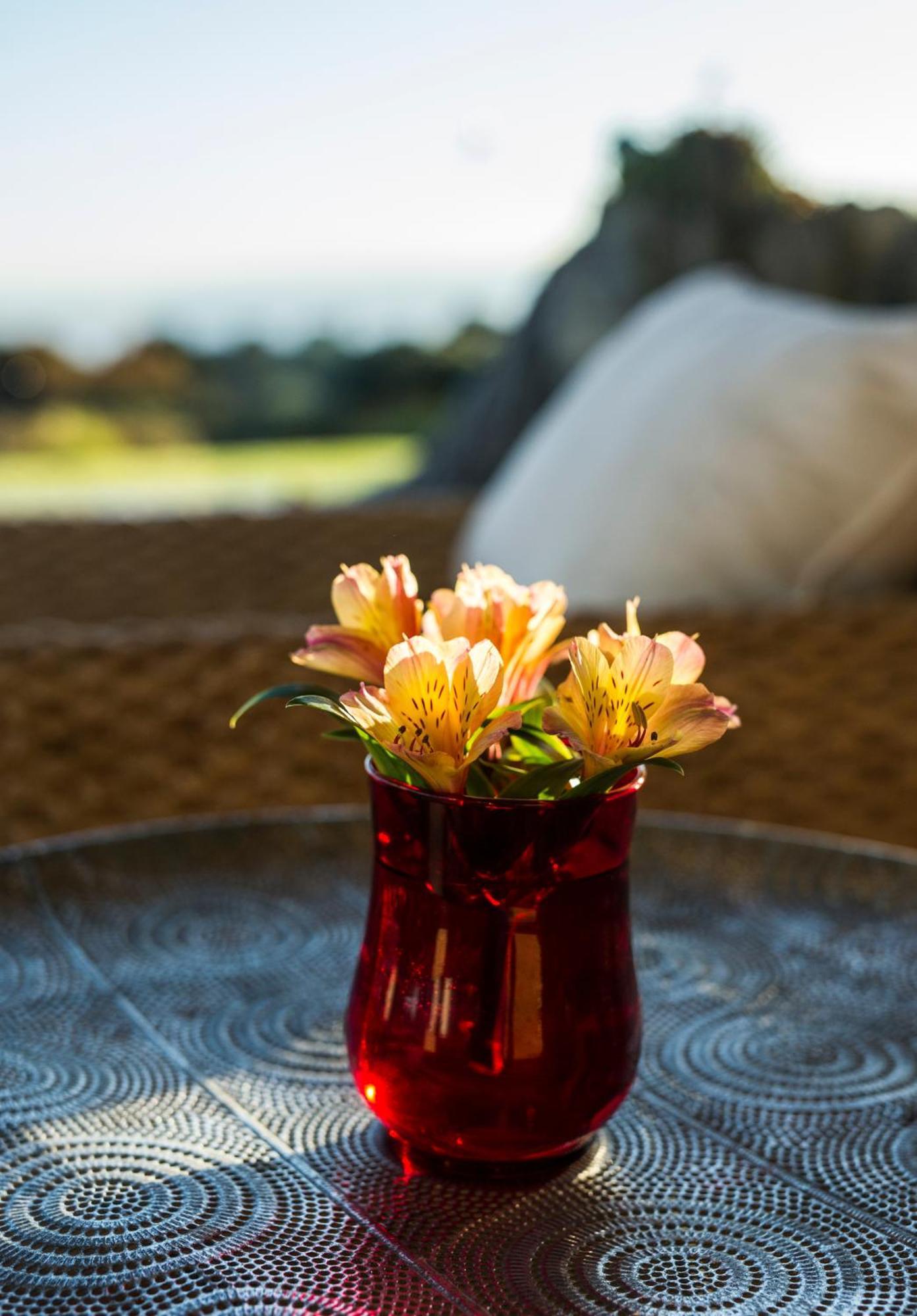Matapouri & Tutukaka Spectacular Coastal Views- Aroha Luxury Guest Suite Buitenkant foto